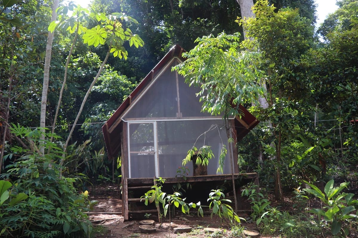 Bocas del Toro
