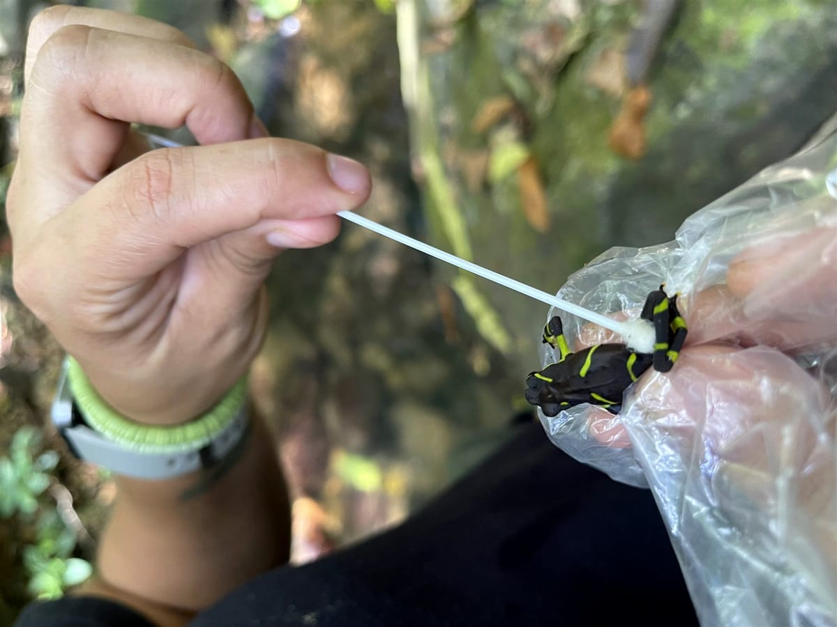 Expedición a medida