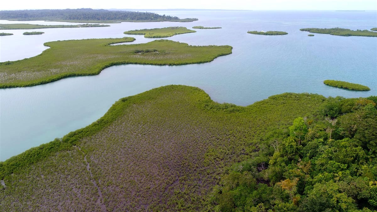 Bocas del Toro