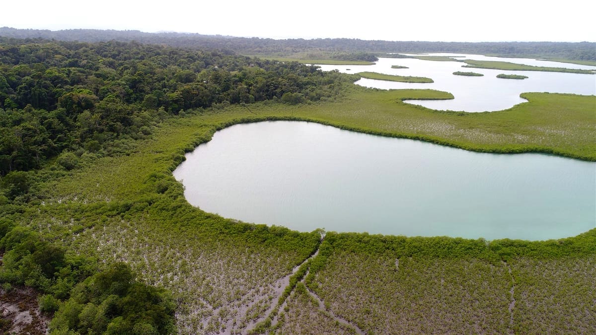 Bocas del Toro